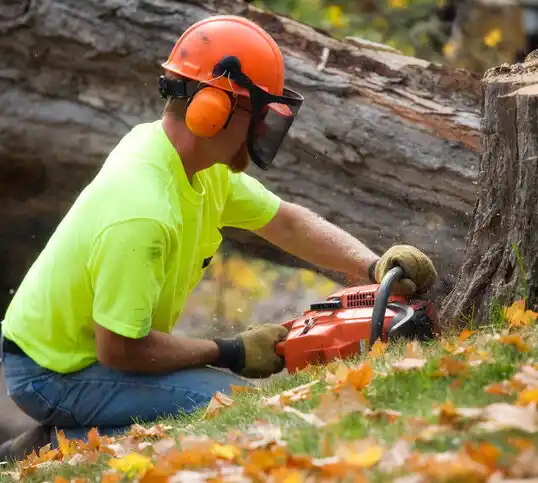 tree services Manistique